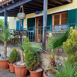 House Near Cr7 Museum Funchal (Madeira)